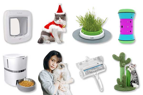 Top 8 des cadeaux de Noël à offrir à votre chat !